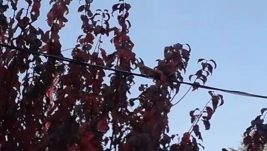 🐿️Mókus@Budaörs🚴‍♂️ - grinTube